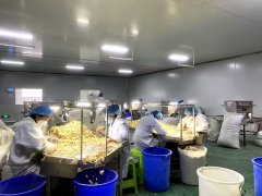 师县大同街道：沪滇协做帮推新型农业财产成长