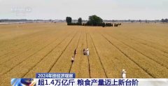 2024年终察看丨本年我国粮食产量初次冲破14万亿