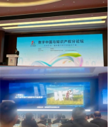 国度学问产权局发布数据学问产权登记第二批十